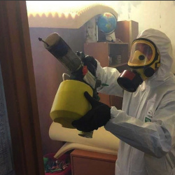 Уничтожение клопов в квартире. Северное Измайлово